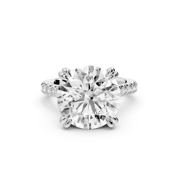 Isabella - 5ct 14k white gold round hidden halo diamond bridge cathedral Pavé engagment ring