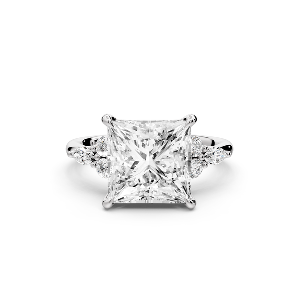 Sandi - 4ct platinum Princess Floral Cluster Side-Stone Engagement Ring with Plain Band