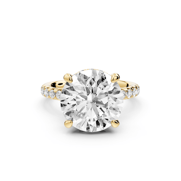Arina - 5ct 18k yellow gold round Diamond with a wrap around halo and pavé engagment ring - Mr. Alex Jewelry