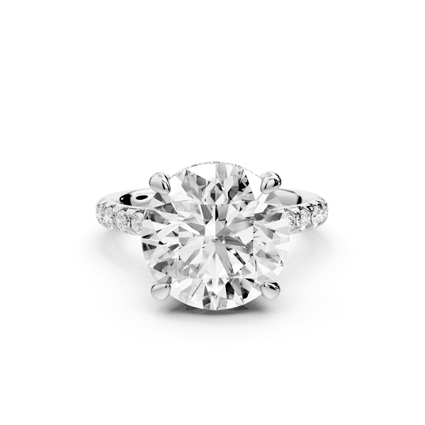 Arina - 5ct platinum round Diamond with a wrap around halo and pavé engagment ring - Mr. Alex Jewelry