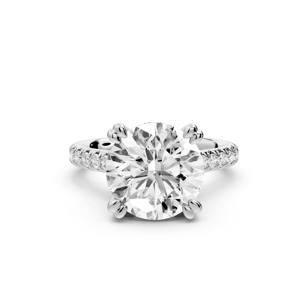 Isabella - 4ct 14k white gold round hidden halo diamond bridge cathedral pavé engagment ring - Mr. Alex Jewelry