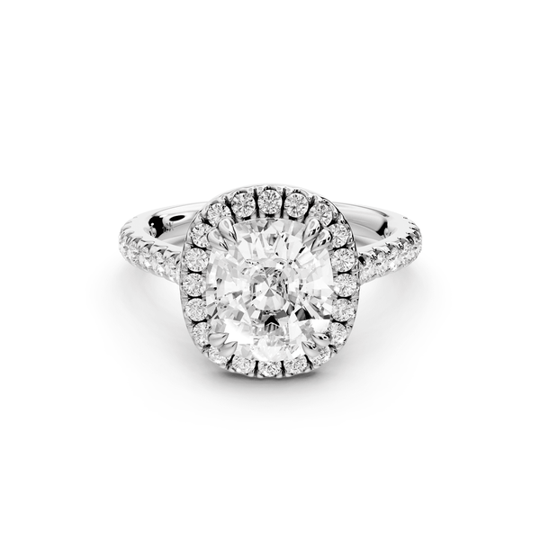 Marcella - 3ct 14k white gold ecushion halo double talon prong cathedral pavé engagement ring - Mr. Alex Jewelry