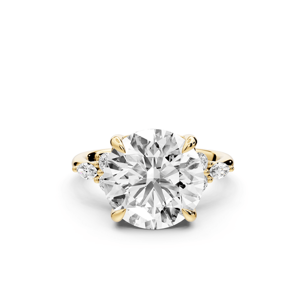 Sandi - 5ct 14k yellow gold Round Floral Cluster Side-Stone Engagement Ring with Plain Band - Mr. Alex Jewelry