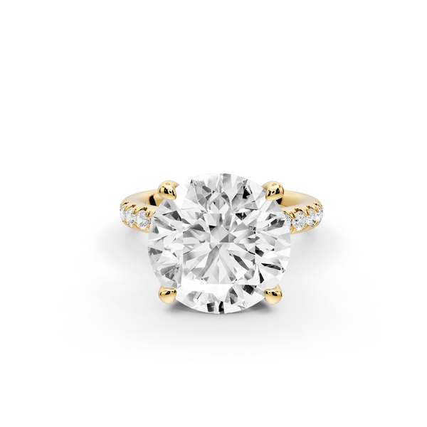 Flora - 5ct 14k yellow gold round talong prong Wrap around halo Half Band Engagement Ring