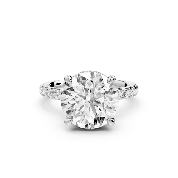 Arina - 4ct 14k white gold round Diamond with a wrap around halo and Pavé engagment ring