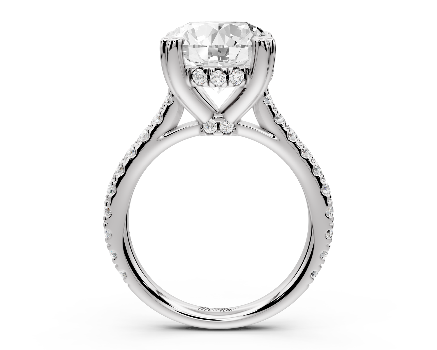 Isabella - 4ct 14k white gold round hidden halo diamond bridge cathedral Pavé engagment ring