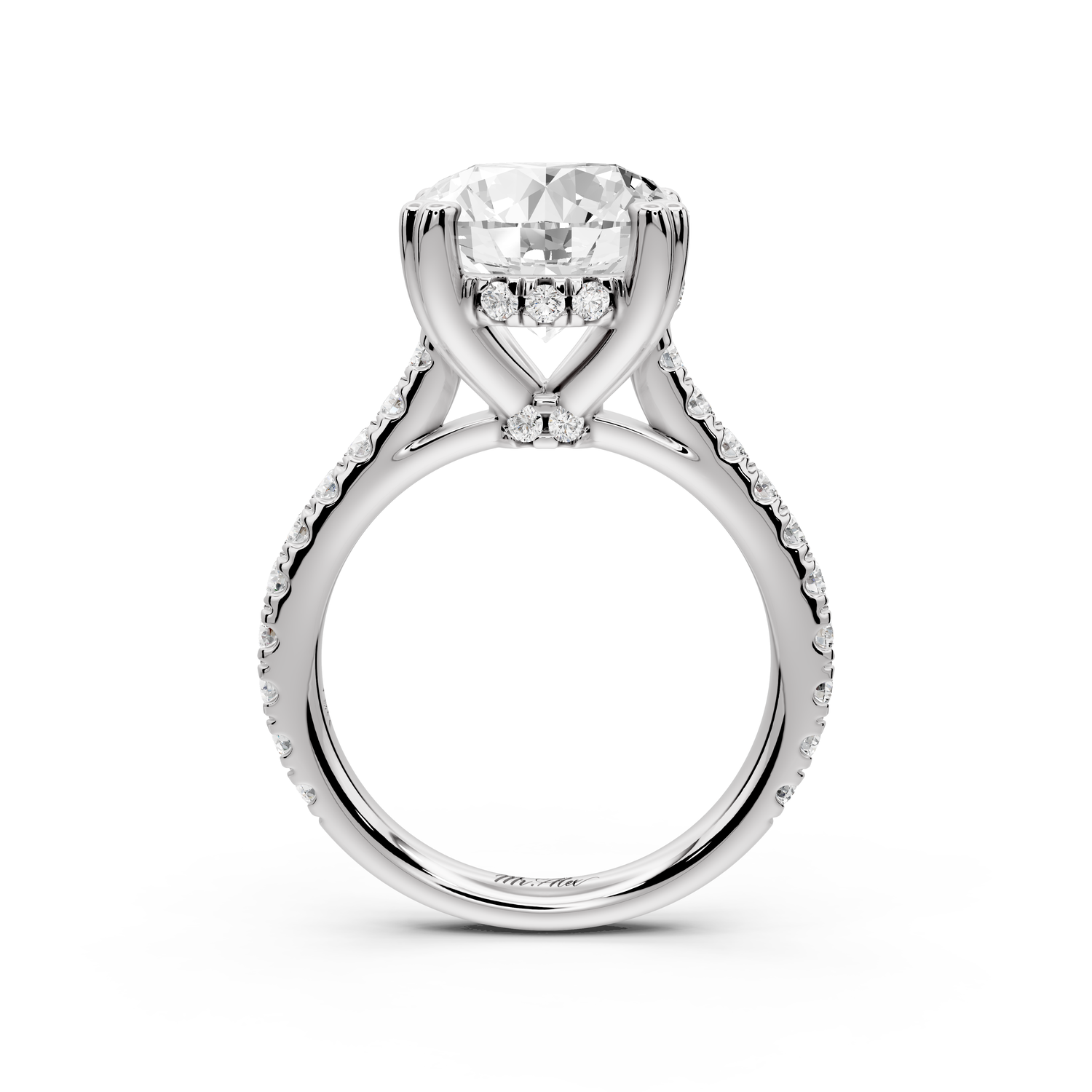 Isabella - 4ct 14k white gold round hidden halo diamond bridge cathedral Pavé engagment ring