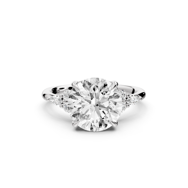 Sandi - 3ct platinum Round Floral Cluster Side-Stone Engagement Ring with Plain Band