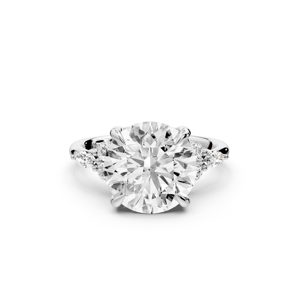 Sandi - 4ct platinum Round Floral Cluster Side-Stone Engagement Ring with Plain Band