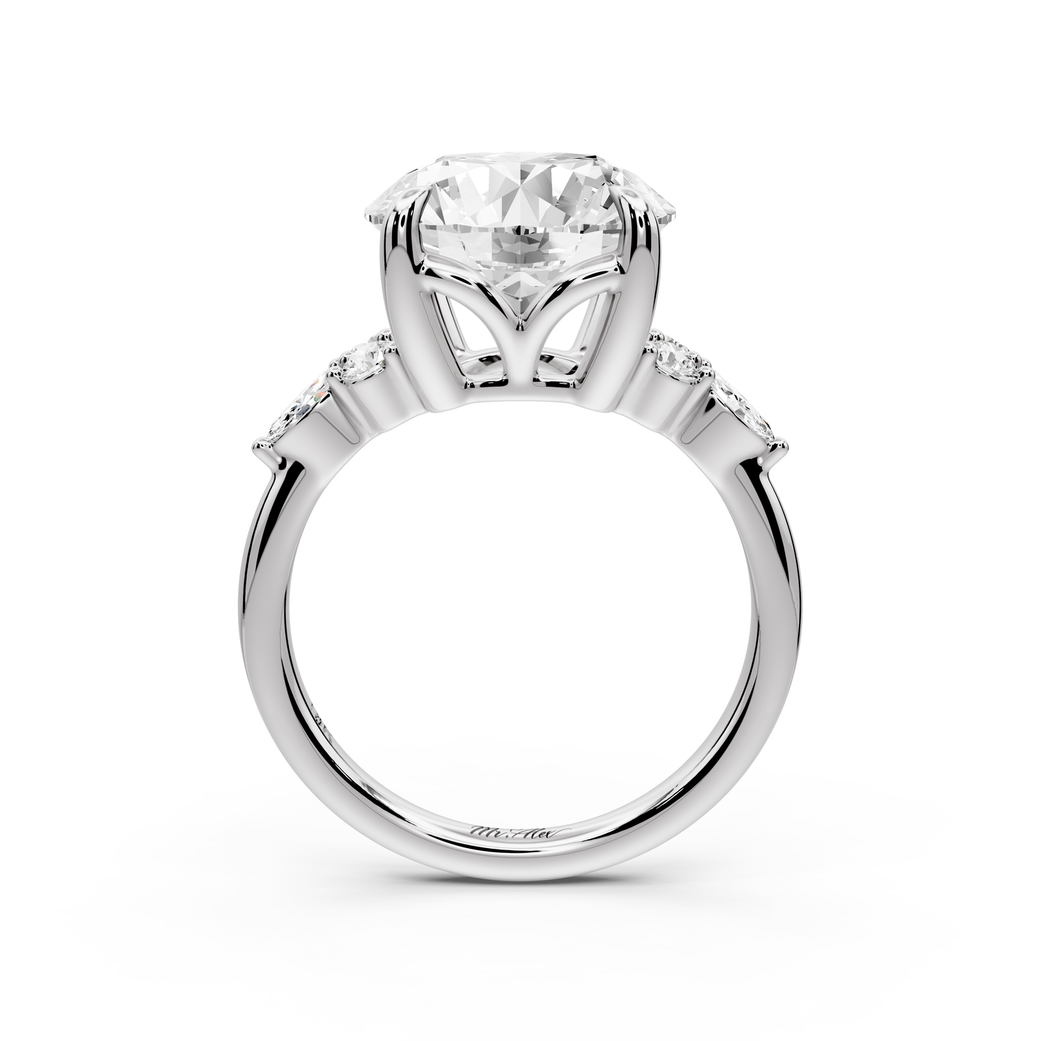 Sandi - 5ct platinum Round Floral Cluster Side-Stone Engagement Ring with Plain Band