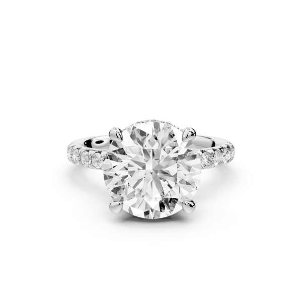 Arina - 3ct 18k white gold round Diamond with a wrap around halo and pavé engagment ring - Mr. Alex Jewelry