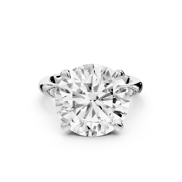 Luna - 5ct 14k white gold round Diamond Crown with Flush - Set Diamond Clusters Engagement Ring - Mr. Alex Jewelry