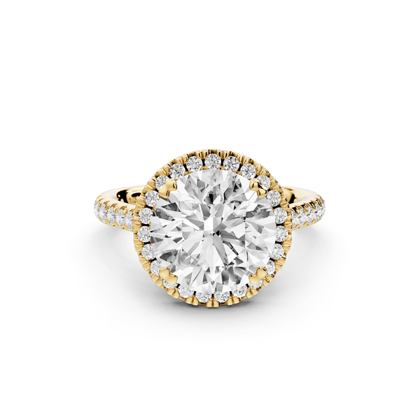 Marcella - 3ct 18k yellow gold round halo double talon prong cathedral pavé engagement ring - Mr. Alex Jewelry