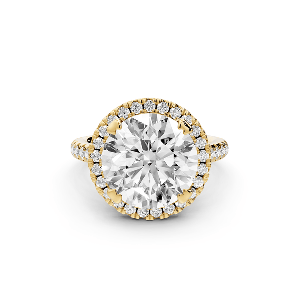 Marcella - 5ct 18k yellow gold round halo double talon prong cathedral pavé engagement ring - Mr. Alex Jewelry